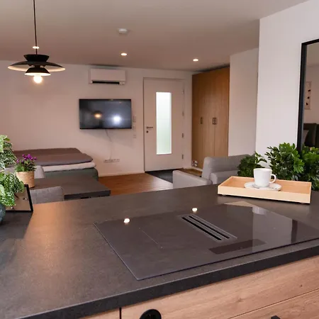 Apartamento Boutique Im Herzen Tbbs