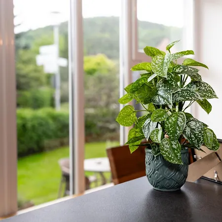 Apartamento Boutique Im Herzen Tbbs